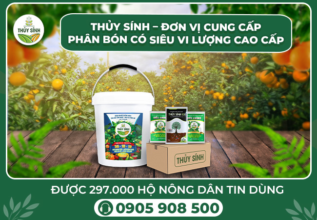 Thủy Sính - Đơn vị cung cấp phân bón có Siêu vi lượng cao cấp